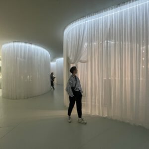 VOILE CS, Pepperscrim, Gaze, Tüll-Stoff, BACKDROP.de